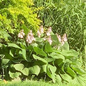 Meet your Posher, Sherry